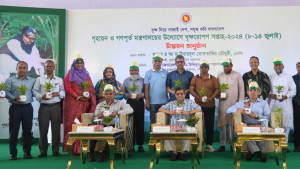 ভবনের নকশা অনুমোদনে খালি জায়গায় গাছ লাগানোর শর্তের নির্দেশনা 