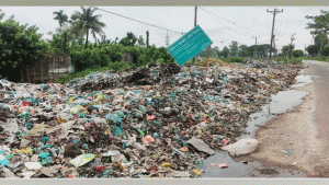 আবর্জনার  চাপে মরছে চাম্বল ছড়া
