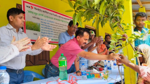 কুড়িগ্রামে ১০ হাজার চারা বিতরণ করল ইউসিবি