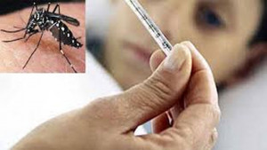 ডেঙ্গু জ্বরে থাকুন সতর্ক