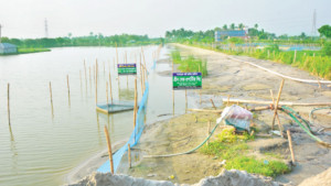 খুলনায় ৯৪ আবাসন প্রকল্পের একটিরও নেই অনুমোদন