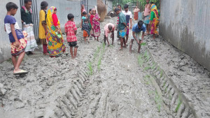 কাঁচা রাস্তায় ধানের চারা রোপণ করে প্রতিবাদ