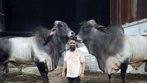 মামলা হচ্ছে সাদিক অ্যাগ্রোর মালিকসহ  ৭ জনের বিরুদ্ধে