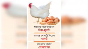 বড় সংকটে দেশের পোলট্রি খাত
