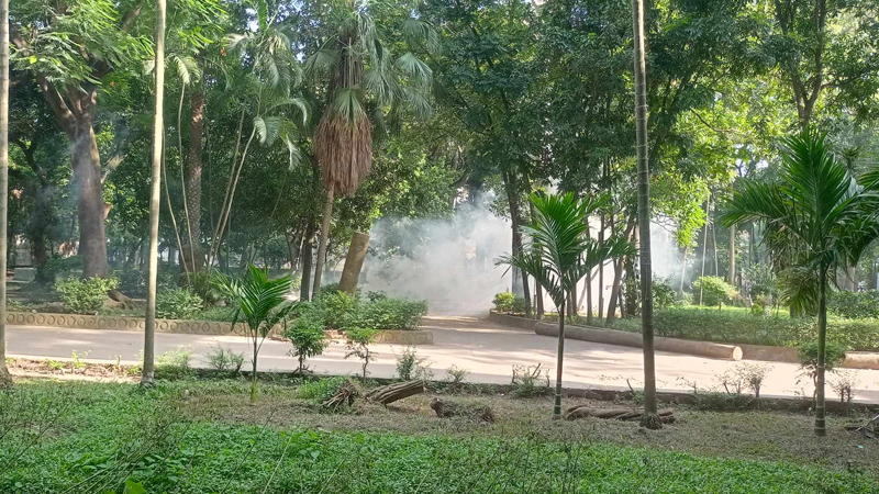 টিয়ারশেল-সাউন্ড গ্রেনেডে বিচ্ছিন্ন কোটা আন্দোলনকারীরা টিয়ারশেল-সাউন্ড গ্রেনেডে বিচ্ছিন্ন কোটা আন্দোলনকারীরা