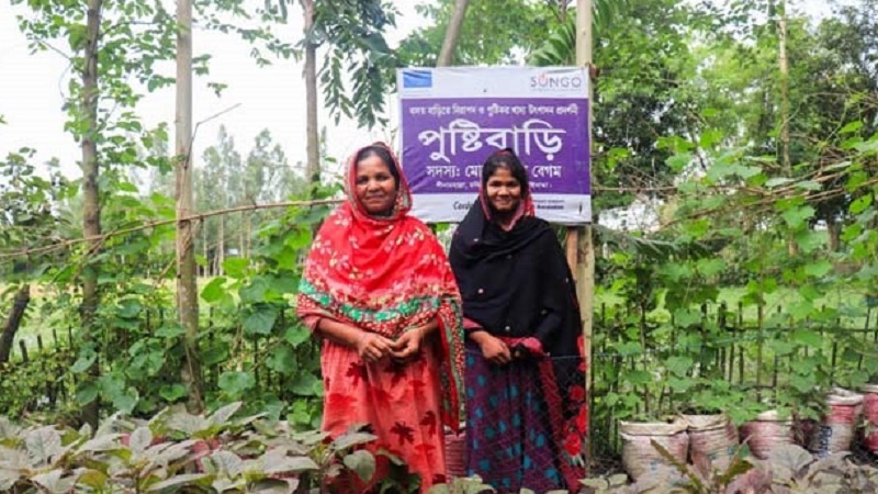 পুষ্টিবাড়ি: বসতবাড়িতেই পুষ্টির জোগান পুষ্টিবাড়ি: বসতবাড়িতেই পুষ্টির জোগান