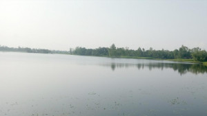 সুন্দরগঞ্জে নামেনি পানি, কমেনি দুর্ভোগ