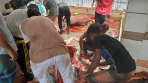 ‘গরু ভেদে ৮-২০ হাজার টাকা, ছাগল ২-৮ হাজার টাকা পর্যন্ত পাওয়া যায়’