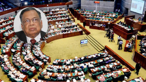 দশ মাসেই ভারতীয়রা নিয়ে গেছেন ৫ কোটি ডলার