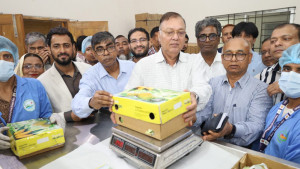 ইউরোপসহ ৩৮ দেশে ঘ্রাণ ছড়াচ্ছে বাংলাদেশের আম
