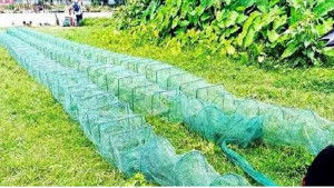 ভয়ংকর চায়না দুয়ারী জালে অস্তিত্ব সংকটে দেশি মাছ