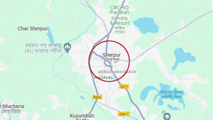 ৯ কোটি ৩১ লাখ টাকা নিয়ে লাপাত্তা বন কর্মকর্তা
