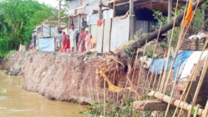 কুশিয়ারায় তীব্র হচ্ছে ভাঙন   ভিটেহারা ৩০ পরিবার