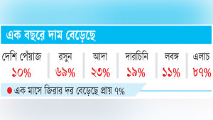ঈদে খরচ বাড়াবে মসলাও