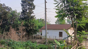 পাহাড়ে অবৈধ বিদ্যুৎ সংযোগ হুমকির মুখে বন্যপ্রাণী