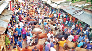 হাট ছাপিয়ে মহাসড়কে কোরবানির পশু