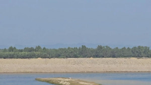 দিনভর মর্টারশেল ও ভারী গোলার বিকট শব্দ