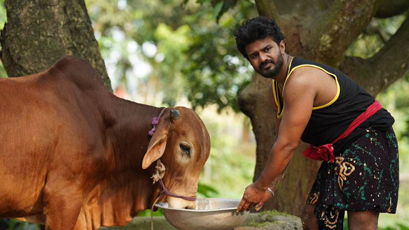 নাটকের নাম ভূমিকায় গরু, অভিনয়ে ফারহান ও তানিয়া বৃষ্টি নাটকের নাম ভূমিকায় গরু, অভিনয়ে ফারহান ও তানিয়া বৃষ্টি