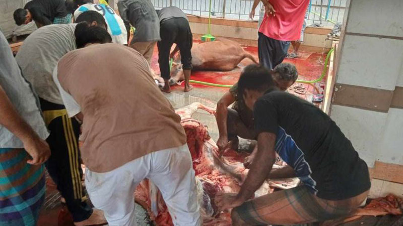‘গরু ভেদে ৮-২০ হাজার টাকা, ছাগল ২-৮ হাজার টাকা পর্যন্ত পাওয়া যায়’ ‘গরু ভেদে ৮-২০ হাজার টাকা, ছাগল ২-৮ হাজার টাকা পর্যন্ত পাওয়া যায়’