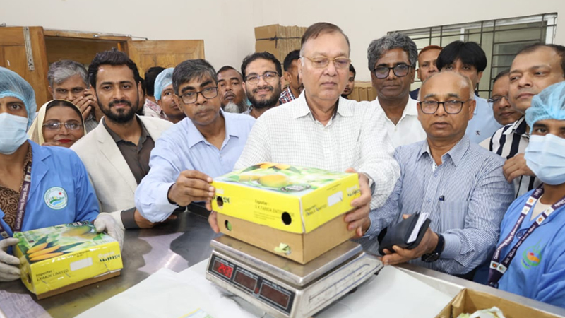 ইউরোপসহ ৩৮ দেশে ঘ্রাণ ছড়াচ্ছে বাংলাদেশের আম ইউরোপসহ ৩৮ দেশে ঘ্রাণ ছড়াচ্ছে বাংলাদেশের আম