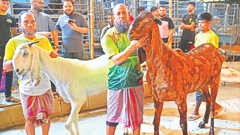 ১৫ লাখ টাকাতেই বিক্রি সেই ছাগল ১৫ লাখ টাকাতেই বিক্রি সেই ছাগল