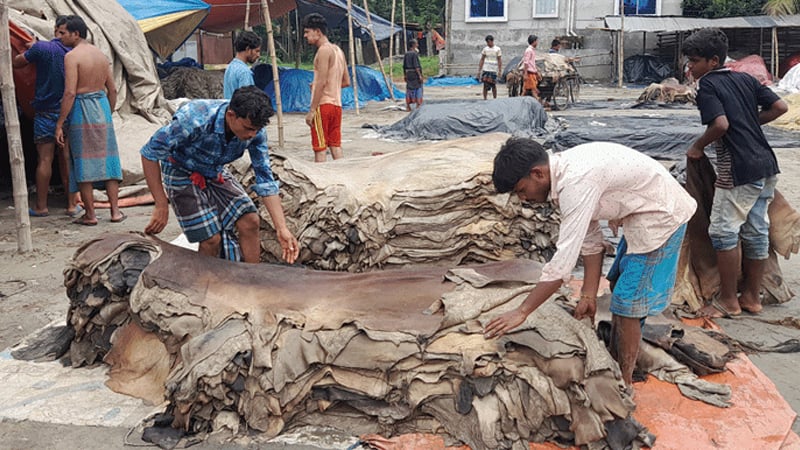সেই পুরোনো ধারায় চামড়ার বাজার সেই পুরোনো ধারায় চামড়ার বাজার