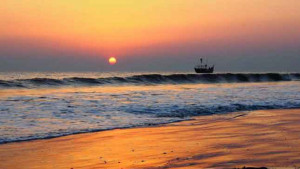 কুয়াকাটা সৈকতে এবার ভেসে এলো মৃত ২ কচ্ছপ