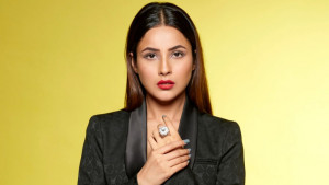 সালমান খানের পর এবার আরবাজের সুনজরে শেহনাজ