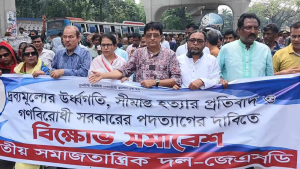 ক্ষমতার মোহে আ.লীগ এখন অন্ধ: স্বপন