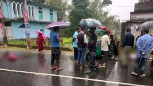 পিকআপের সঙ্গে সংঘর্ষে প্রাণ গেল অটোরিকশার ২ যাত্রীর