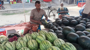 সপ্তাহের ব্যবধানে তরমুজ ও কলার দাম দ্বিগুণ