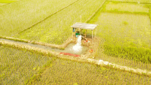 অতিরিক্ত সেচ খরচ আদায়, বিপাকে বোরো চাষিরা