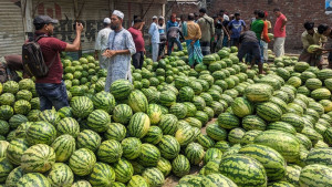 ১০০ টাকায় মিলবে ৫ কেজির তরমুজ