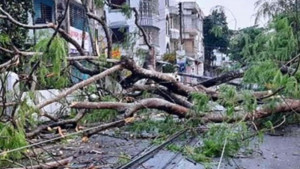 চার দিন ধরে বিদ্যুৎ বিচ্ছিন্ন নলছিটি