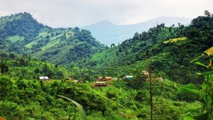 কেএনএফ সমন্বয়ক আকিম বম গ্রেপ্তার