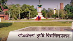 এবার দেশীয় শিং মাছের জীবনরহস্য উন্মোচন 