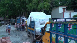 সাতক্ষীরা থেকে ঢাকায় আসছিল রাসায়নিক মিশ্রিত আম ও জেলিযুক্ত চিংড়ি