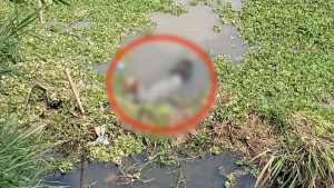 শাবিপ্রবির নির্মাণাধীন লেকে মিলল শ্রমিকের লাশ