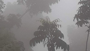 তাপদাহের মধ্যে ঘন কুয়াশা দেখে চক্ষু চড়কগাছ