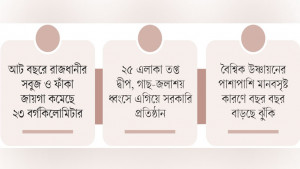সবুজ হারিয়ে ঢাকা হচ্ছে ‘মৃত নগরী’