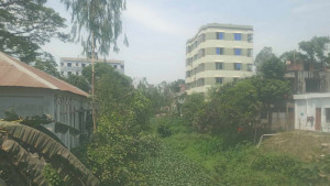 দখল-দূষণে মৃতপ্রায় খাল