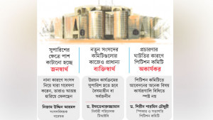 সংসদীয় কমিটির দু’নয়ন ‘নিজ এলাকার উন্নয়ন’
