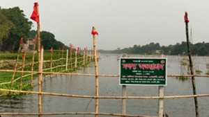 অভয়াশ্রমে বাড়ছে দেশি মাছ, জেলেদের স্বস্তি