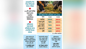 প্রাণিখাদ্যের বাজার সিন্ডিকেটের চক্করে