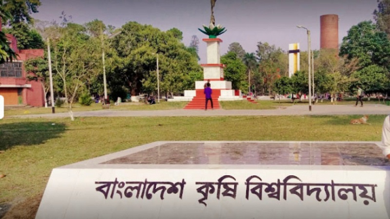 এবার দেশীয় শিং মাছের জীবনরহস্য উন্মোচন এবার দেশীয় শিং মাছের জীবনরহস্য উন্মোচন