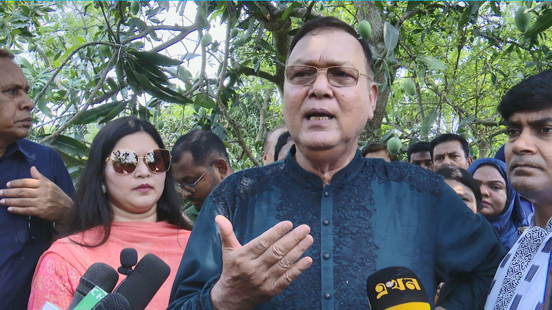 আমের ফলন কম হওয়ায় সিন্ডিকেট হতে পারে আমের ফলন কম হওয়ায় সিন্ডিকেট হতে পারে