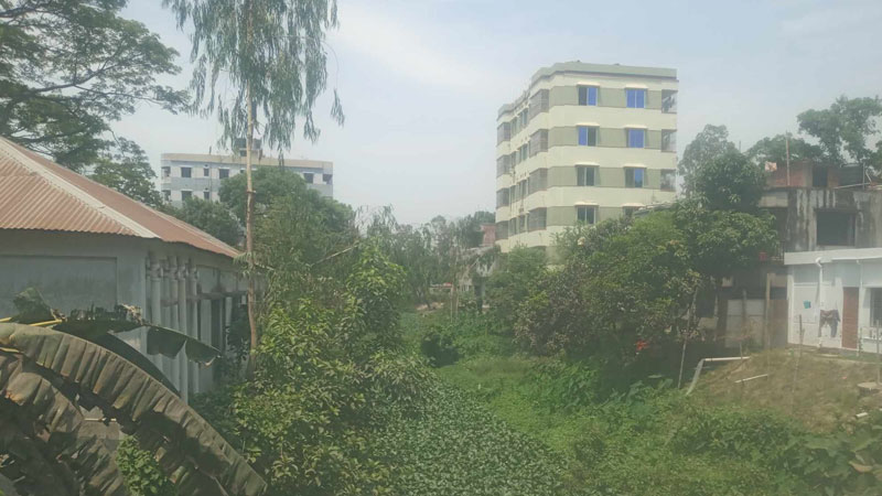 দখল-দূষণে মৃতপ্রায় খাল দখল-দূষণে মৃতপ্রায় খাল