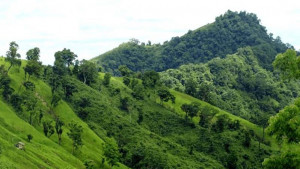 রুমায় কেএনএফ আস্তানায় সেনা অভিযান, অস্ত্র উদ্ধার