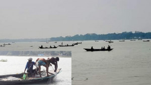 বানারীপাড়ায় ডিমওয়ালা ইলিশ নিধনের মহোৎসব!