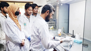 রোগজীবাণু প্রতিরোধে আমের আঁটি